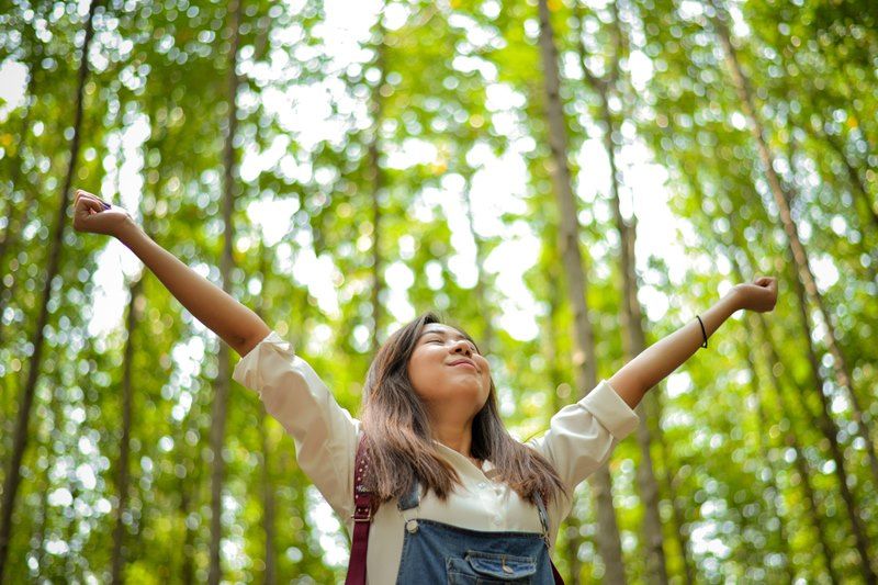 về với thiên nhiên chữa lành tinh thần về với thiên nhiên chữa lành tinh thần